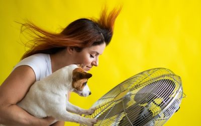 Air Conditioning Maintenance Tips For Summer