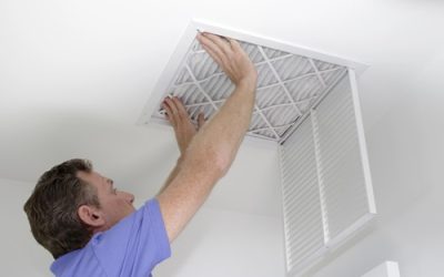 What’s Hiding in Your Home’s Air Ducts?